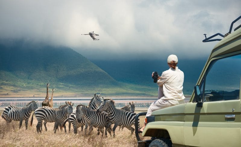 safari tour with zebras near jeep